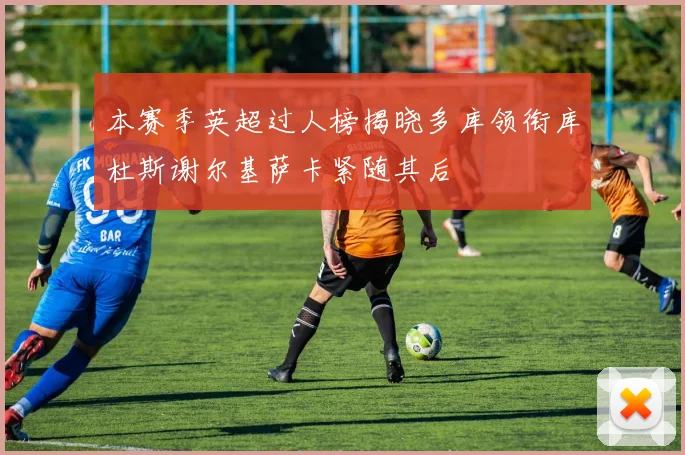 本赛季英超过人榜揭晓多库领衔库杜斯谢尔基萨卡紧随其后